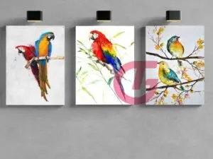 Premium 3D Canvas 3in1 Combo s13